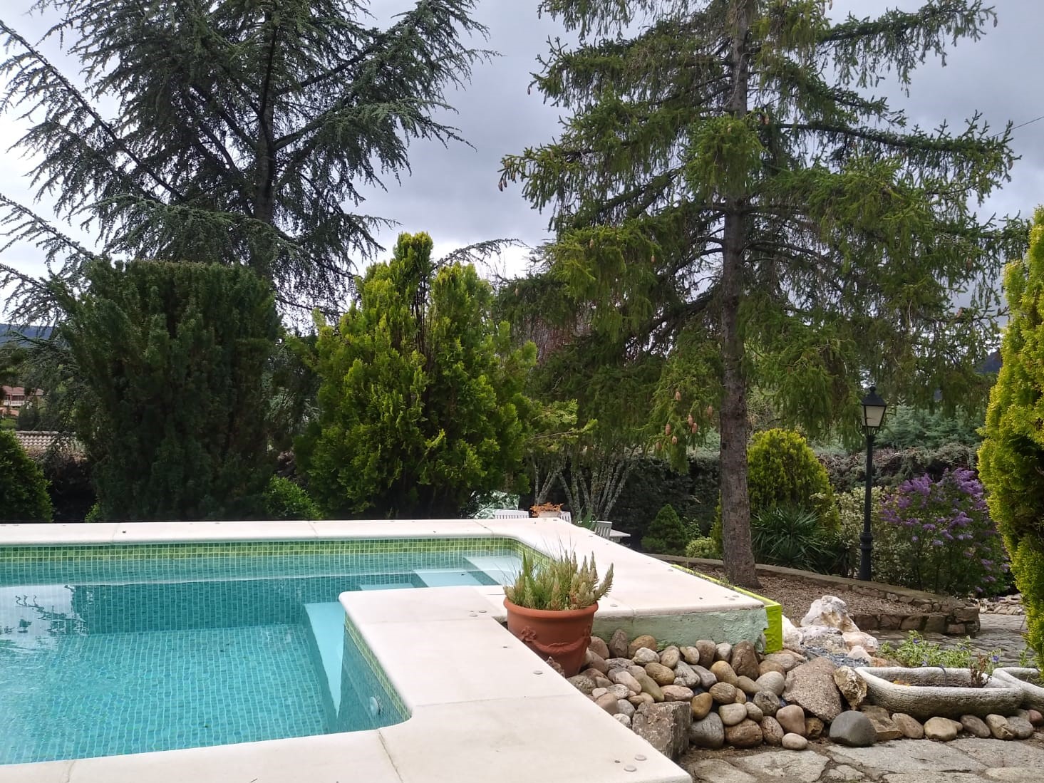 Desde la piscina puedes ver las terrazas de "La casa de las Familias"